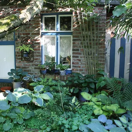 Ferienwohnung Nattkamp Fur Familien Und Radbegeisterte Διαμέρισμα *