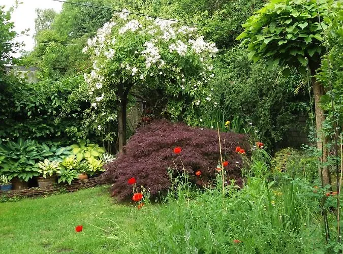 Ferienwohnung Nattkamp Für Familien Und Radbegeisterte