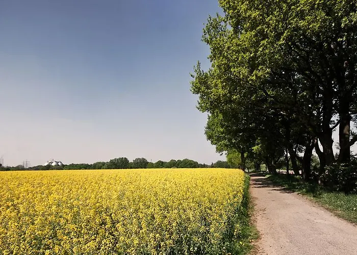 Apartment Ferienwohnung Nattkamp Für Familien Und Radbegeisterte Oberhausen (North Rhine-Westphalia)