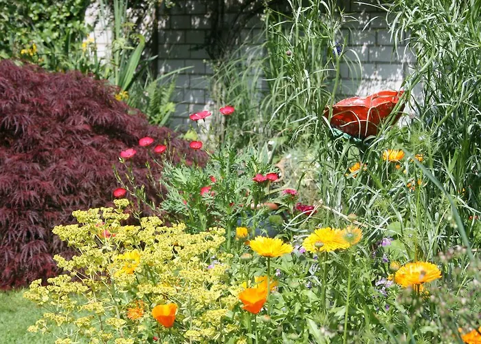 Ferienwohnung Nattkamp Für Familien Und Radbegeisterte