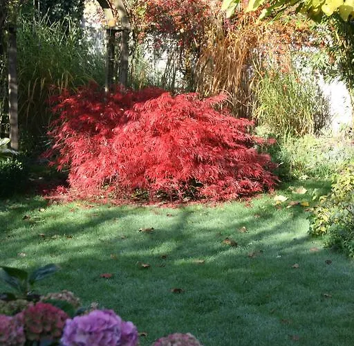 Apartment Ferienwohnung Nattkamp Für Familien Und Radbegeisterte Oberhausen (North Rhine-Westphalia)